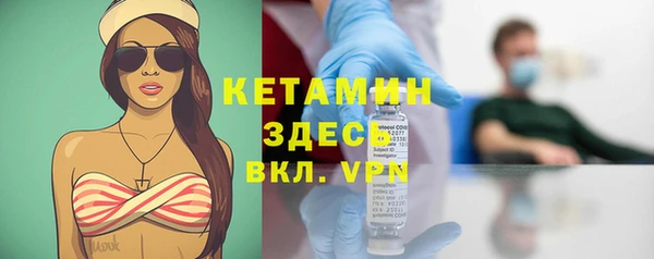 индика Надым