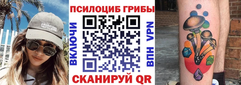 дарк нет наркотические препараты  Красково  Галлюциногенные грибы мухоморы 